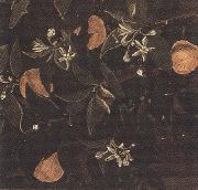 Sandro Botticelli Details of Primavera (mk36) oil